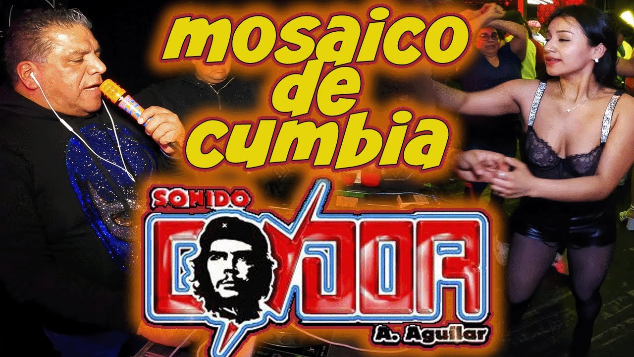 😱💥ME ROBARON A MI PRODUCTOR💥😱 ASI LO DIJO /SONIDO CONDOR/EL PATRON BRONX NY 2026