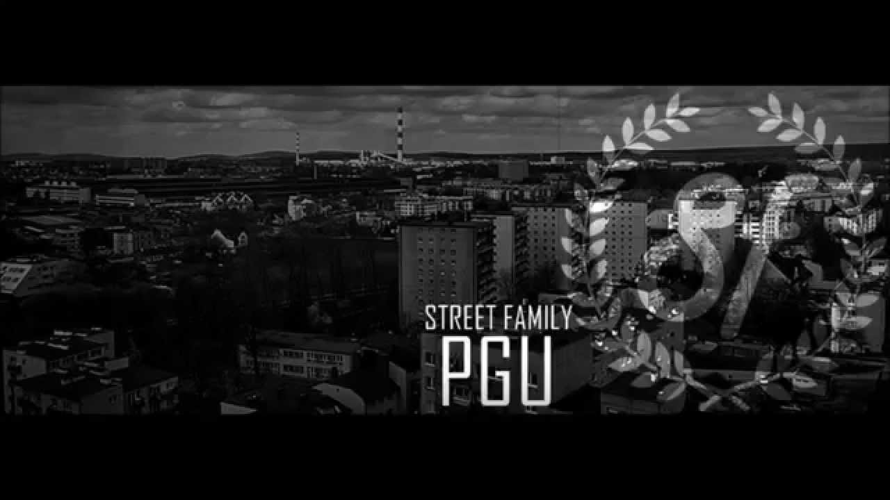 WALCZ O SWOJE / PGU