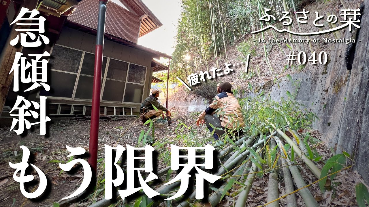 Прореживание бамбуковых рощ, которые многие годы игнорировались [Часть 3]｜Сельская жизнь 040