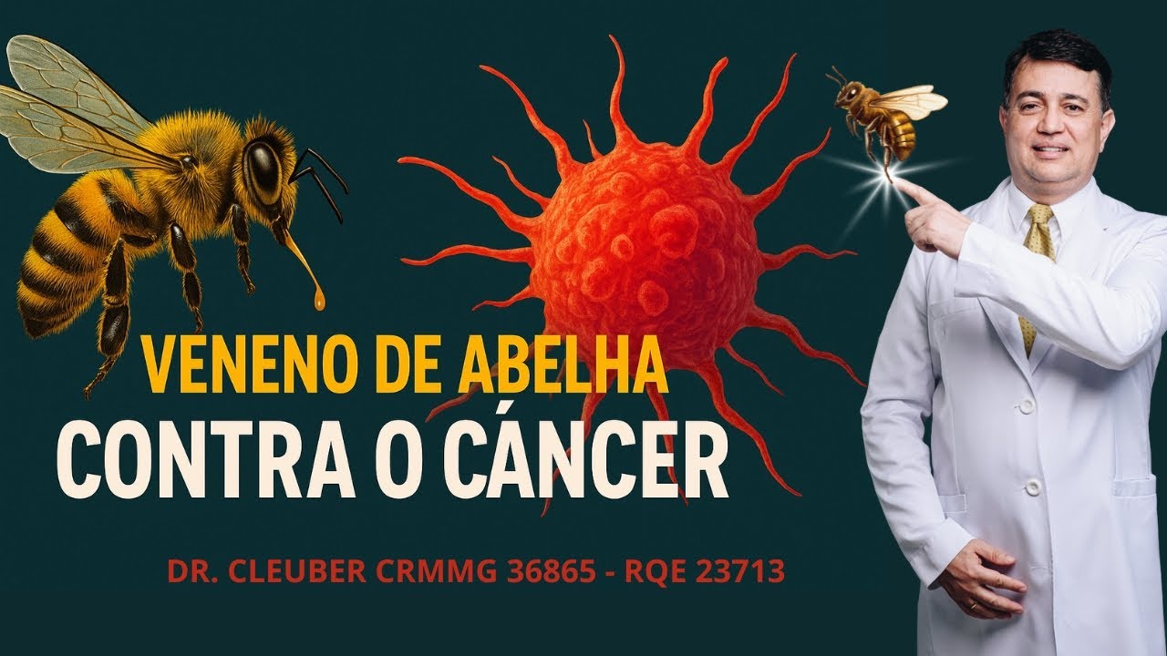 🐝 Veneno de Abelha Contra o Câncer: A Ciência Está Perto da Cura? 🦀