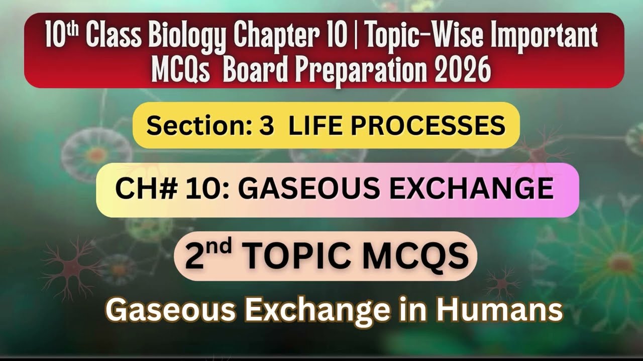 Gaseous Exchange in Humans MCQs | Class 10 Biology | Chapter 10 | Important Board Questions