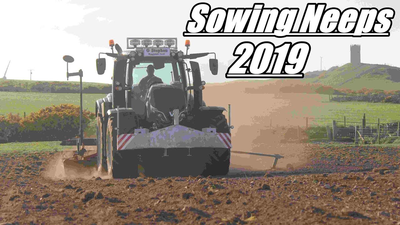 Sowing Neeps 2019