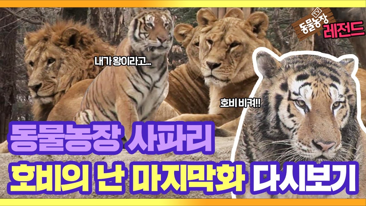 [Легенда о животноводческой ферме] Safari 'Hobi's Rebellion' EP.2 Последняя серия I TV Animal Farm