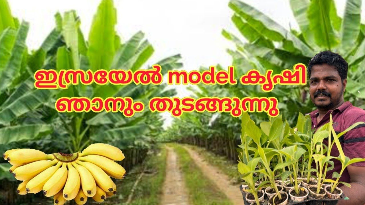 ഇസ്രയേൽ model കൃഷി ഞാനും തുടങ്ങുന്നു