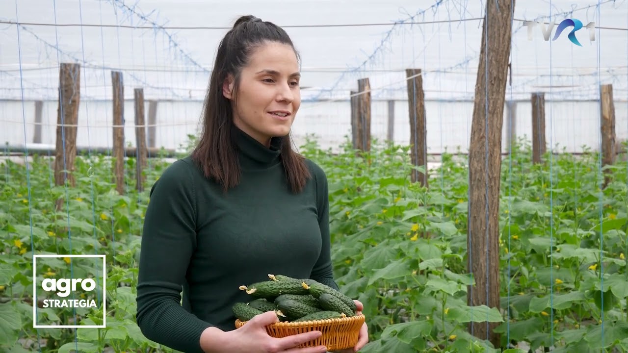 In Grădina Danei. Primii castraveți in solariile de la Matca. Albinele la ieșirea din iernare
