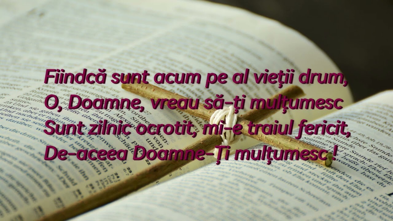 De-aceea iti multumesc