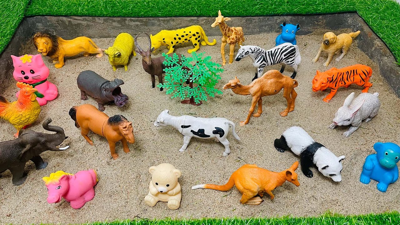 GIANT Animals for Kids! | How BIG Are They? | Wild Animal Facts