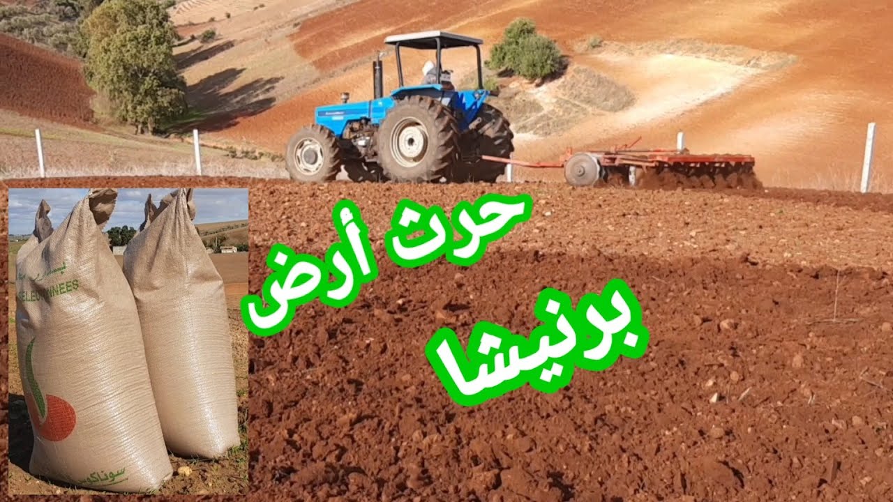 إختيار وقت مناسب لزراعة قمح في أرض برنيشا نوعية تربة تيرس بدون قليب حرث شبه مباشر كانت سنة ماضية حمص