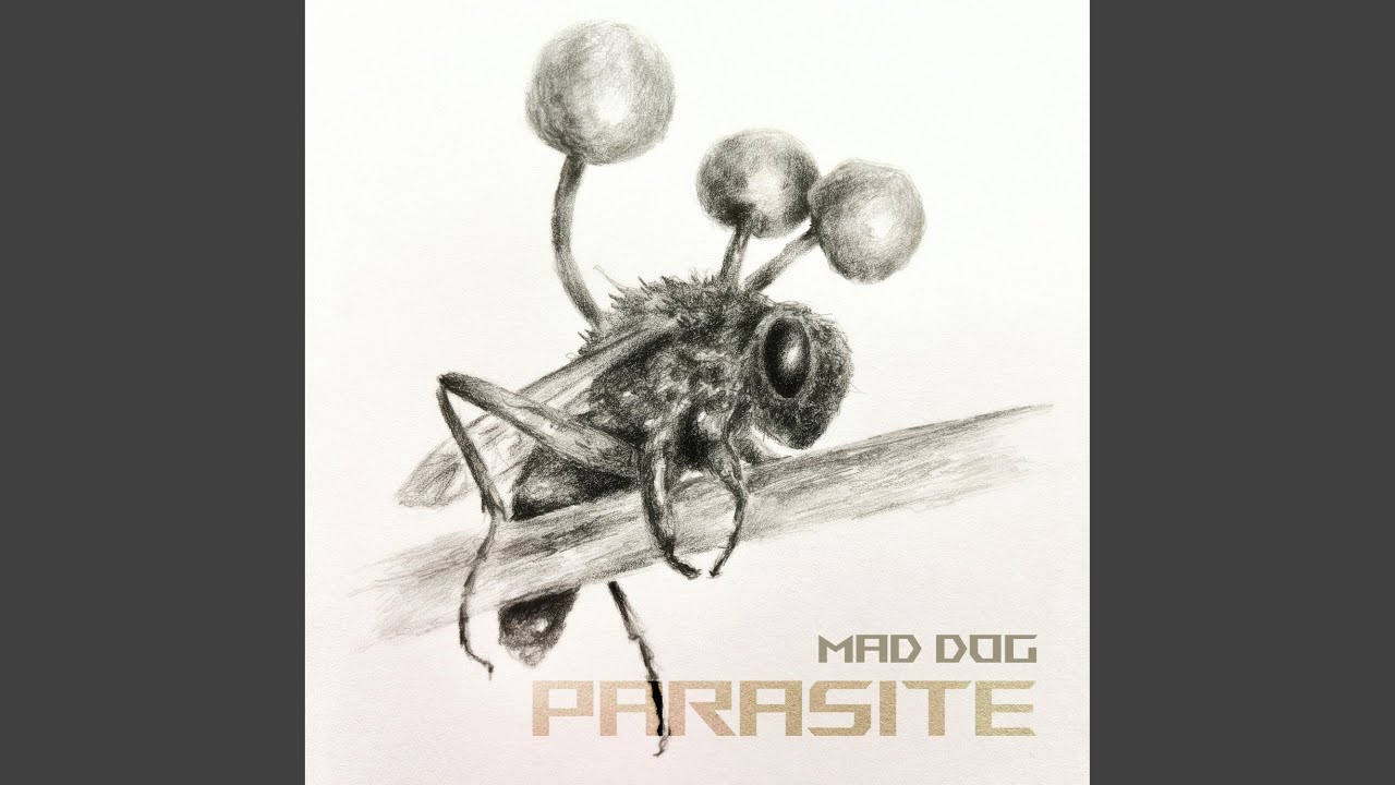 Parasite