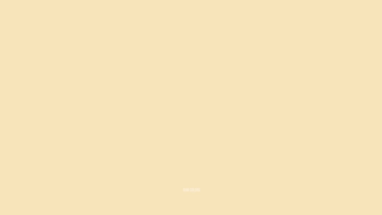 Soft Beige Screen – 1 Hour Plain Color for Relaxation #ColorScreen 