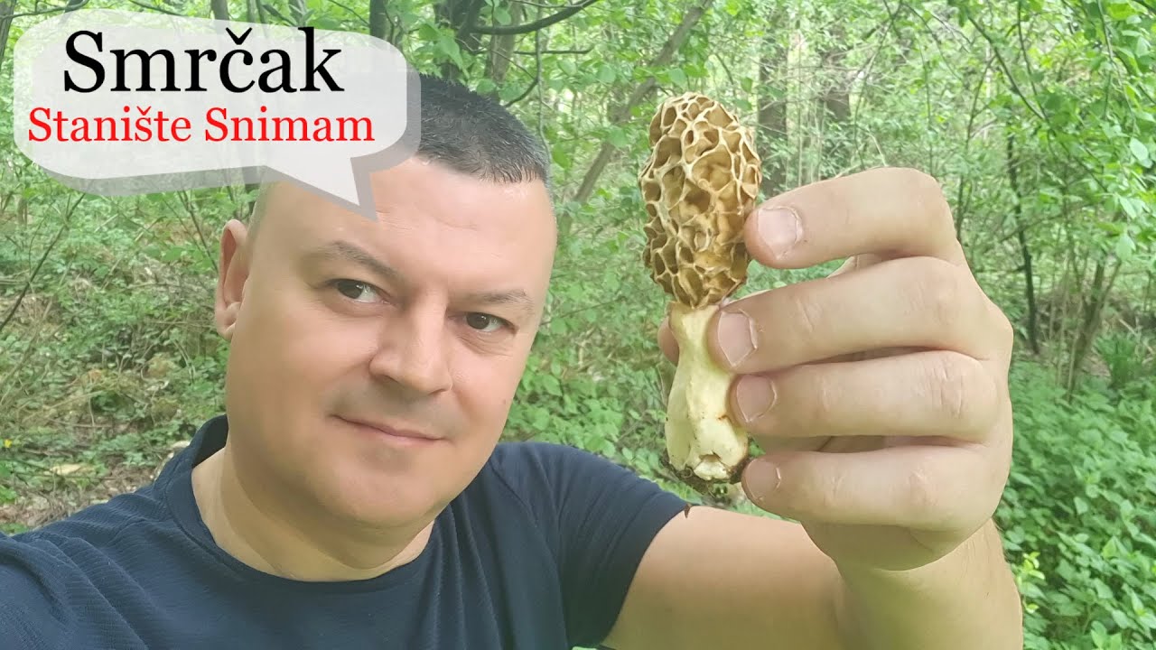 SMRČAK - Stanište Snimam a i Smrčke - Gdje ih ja nalazim - Nekad više a nekad Manje