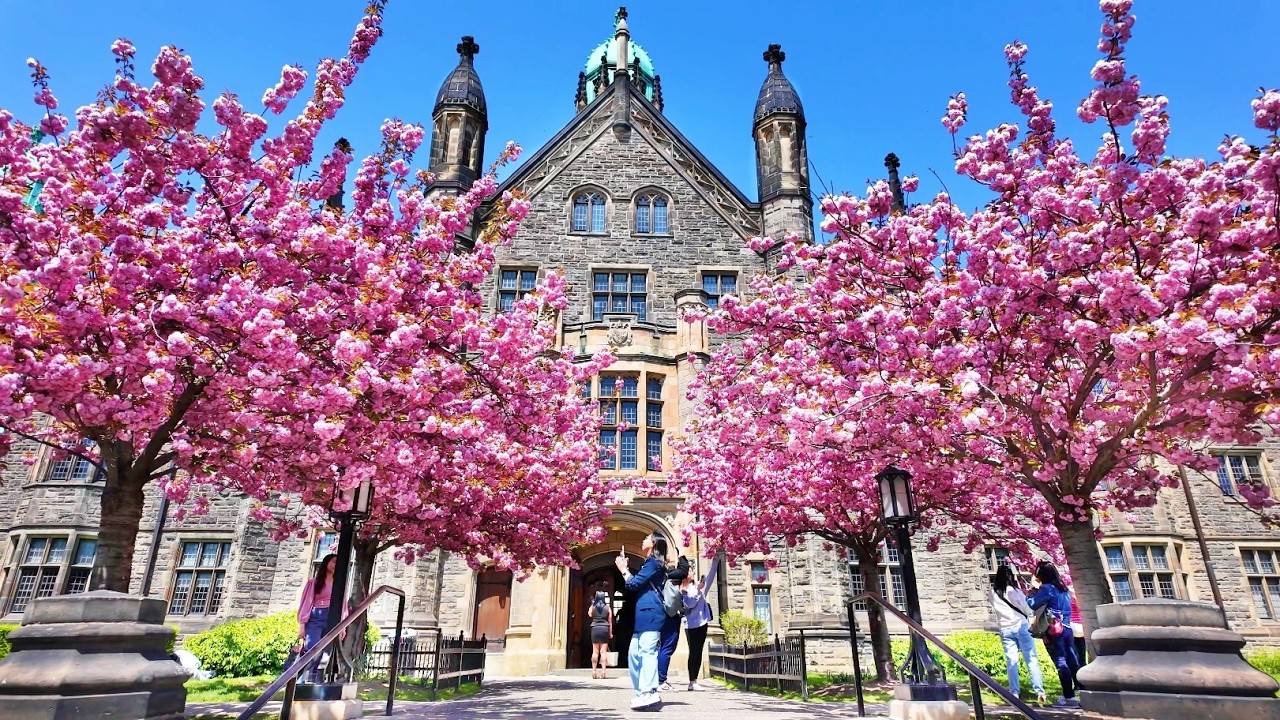 Toronto Tulip Day | Blossoms Walk and University of Toronto