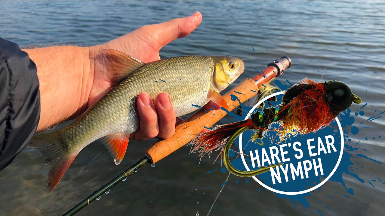 Fly Tying a Hare's Ear Nymph