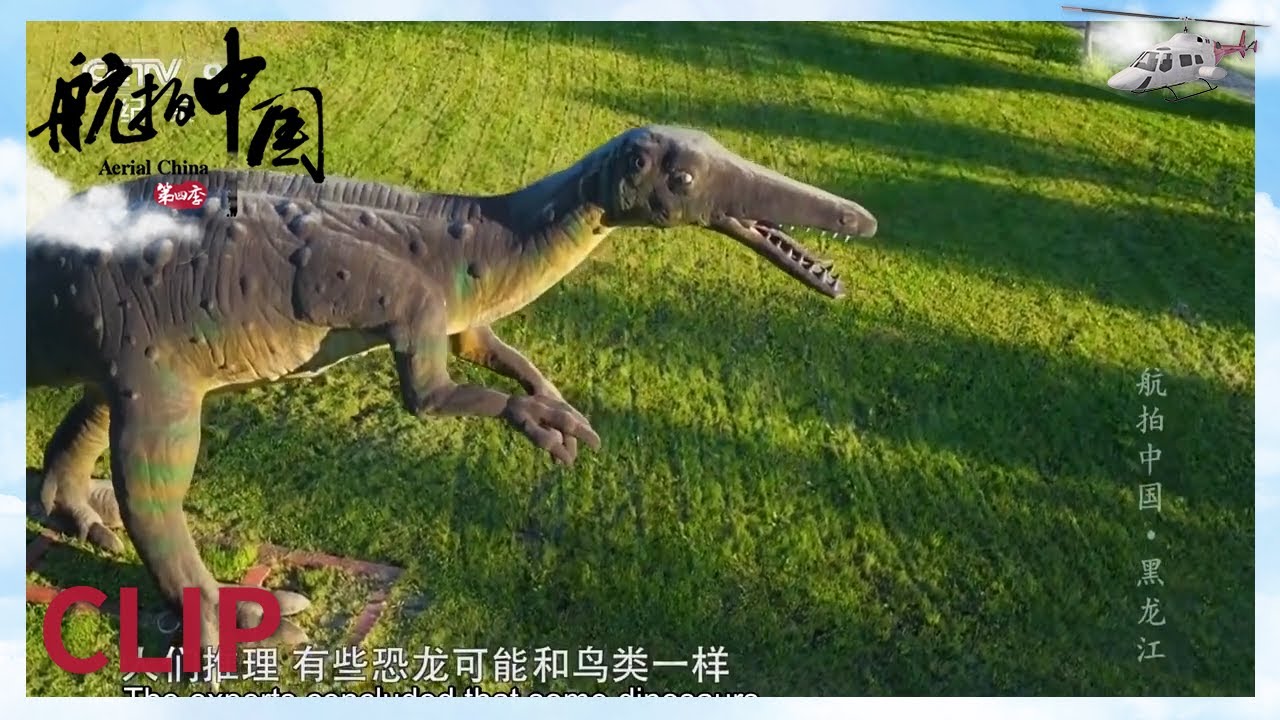 世界上最早发现 也是最晚灭绝的恐龙群竟是彩色的？《航拍中国》第一季 黑龙江【CCTV纪录】
