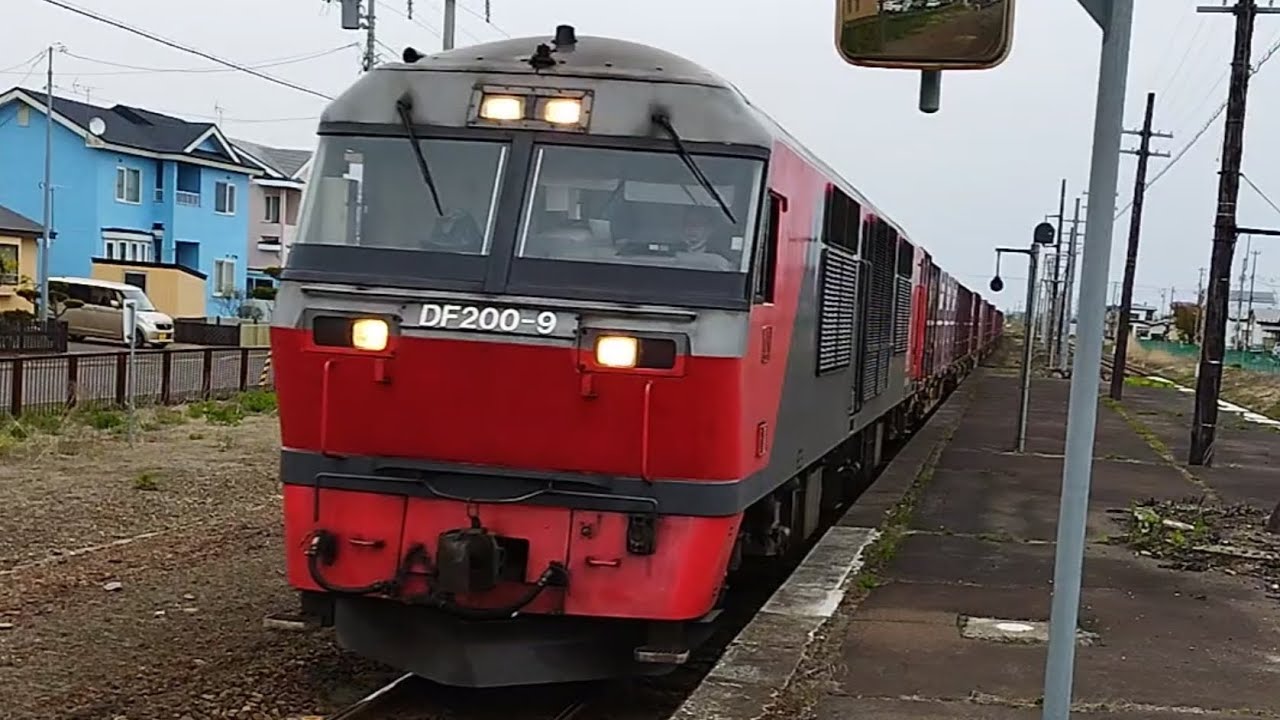 【赤スカ】感動の【汽笛一声レッドベア】DF200貨物列車が目の前で甲高い警笛を鳴らして大楽毛駅を通過する