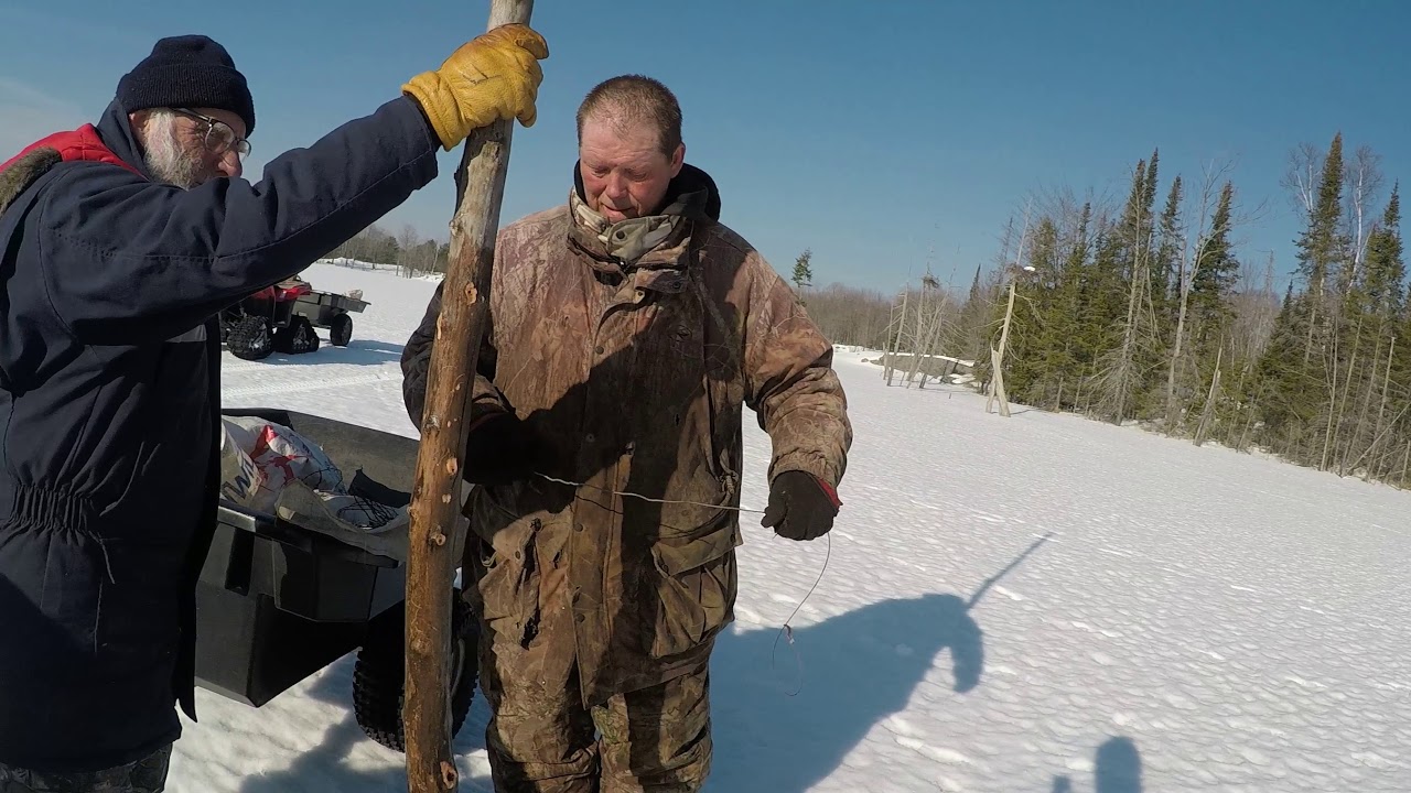 WINTER BEAVER TRAPPING