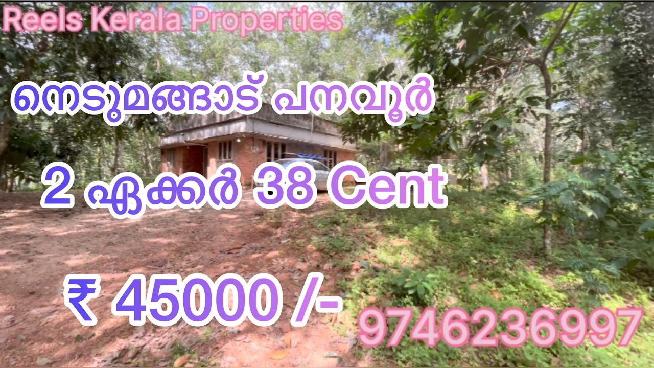 For Sale | Nedumangad | Trivandrum | 2 Acre 38 Cent | 3 BHK House | More Details Call 9746236997