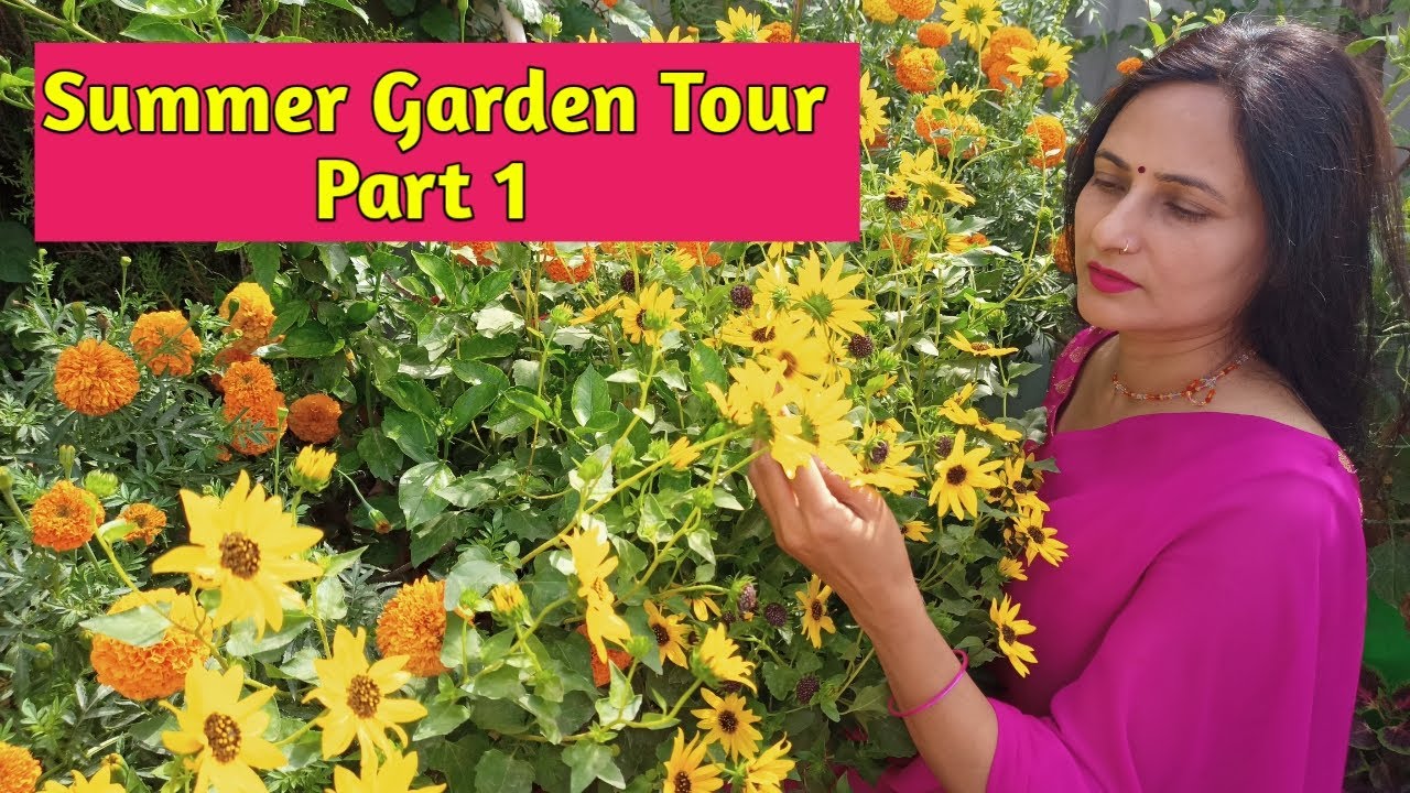 Summer Garden Tour - Part-1 | Rashmi's World - Create to Decorate