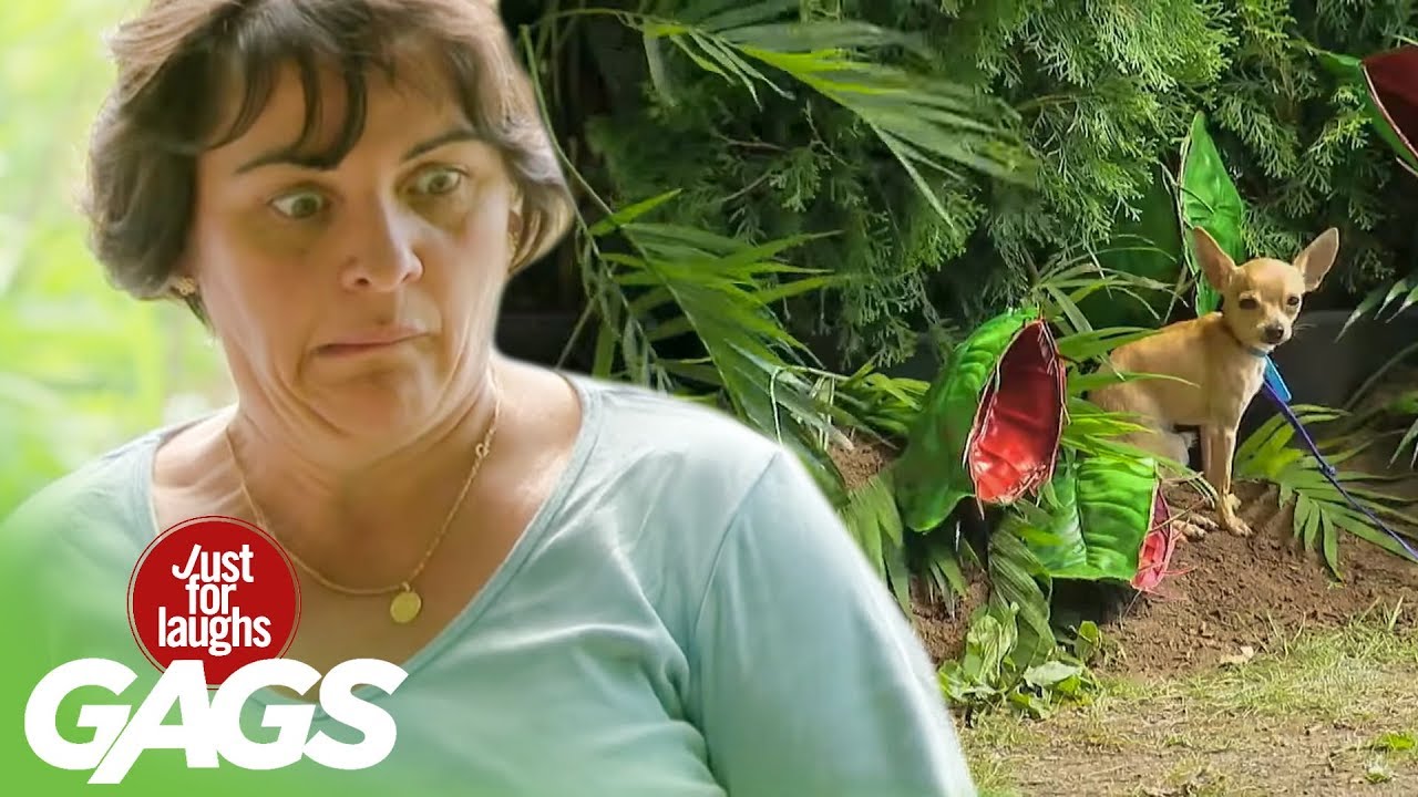 Carnivorous Plant Eats Puppy Prank