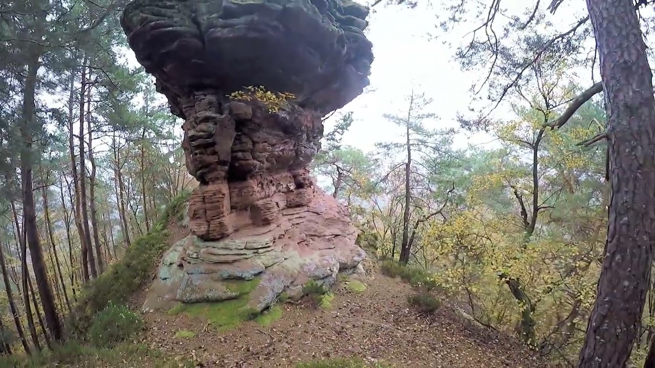 Wanderung Spirkelbacher Höllenbergtour (Pfalz)