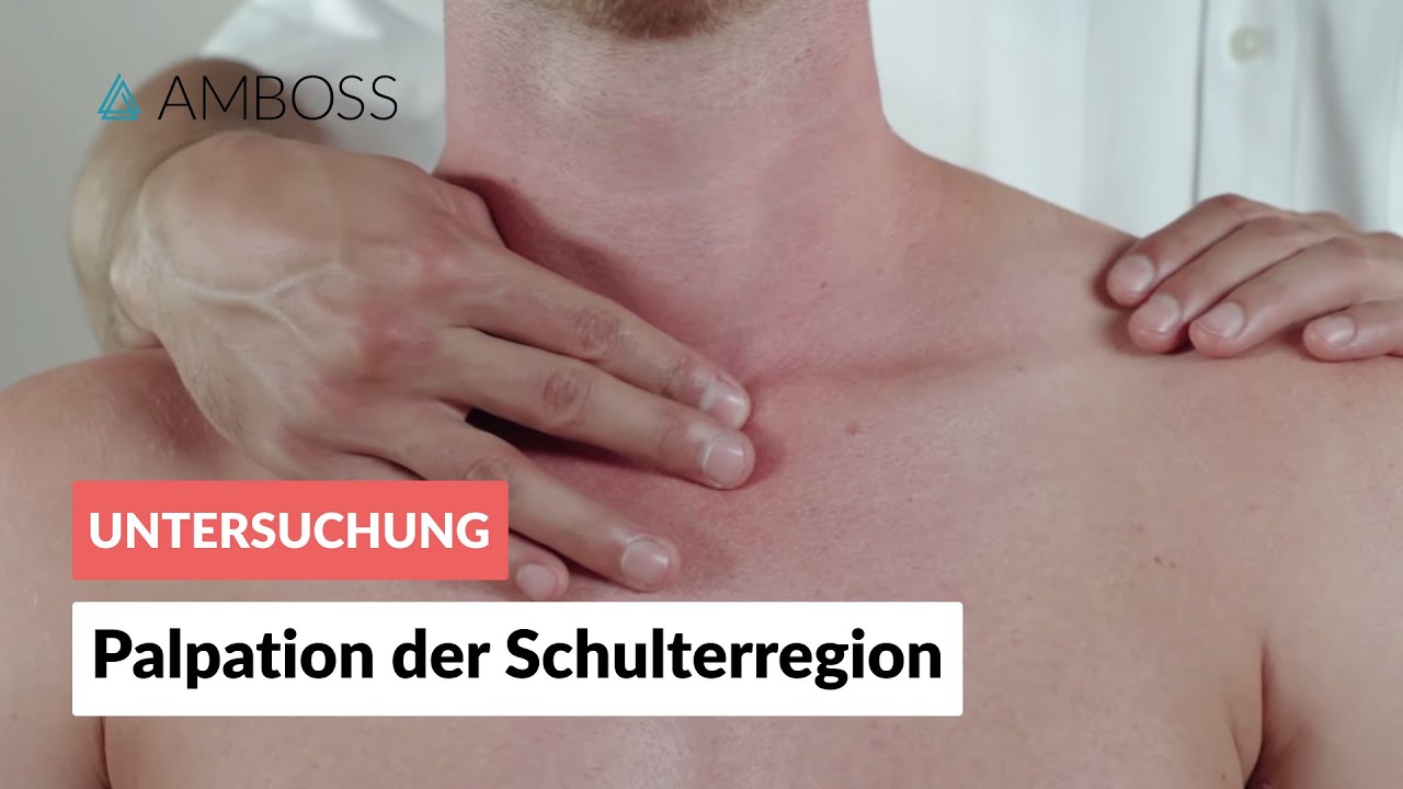 Palpation der Schulterregion - Orthopädie - Klinische Untersuchung der Schulter - AMBOSS Video