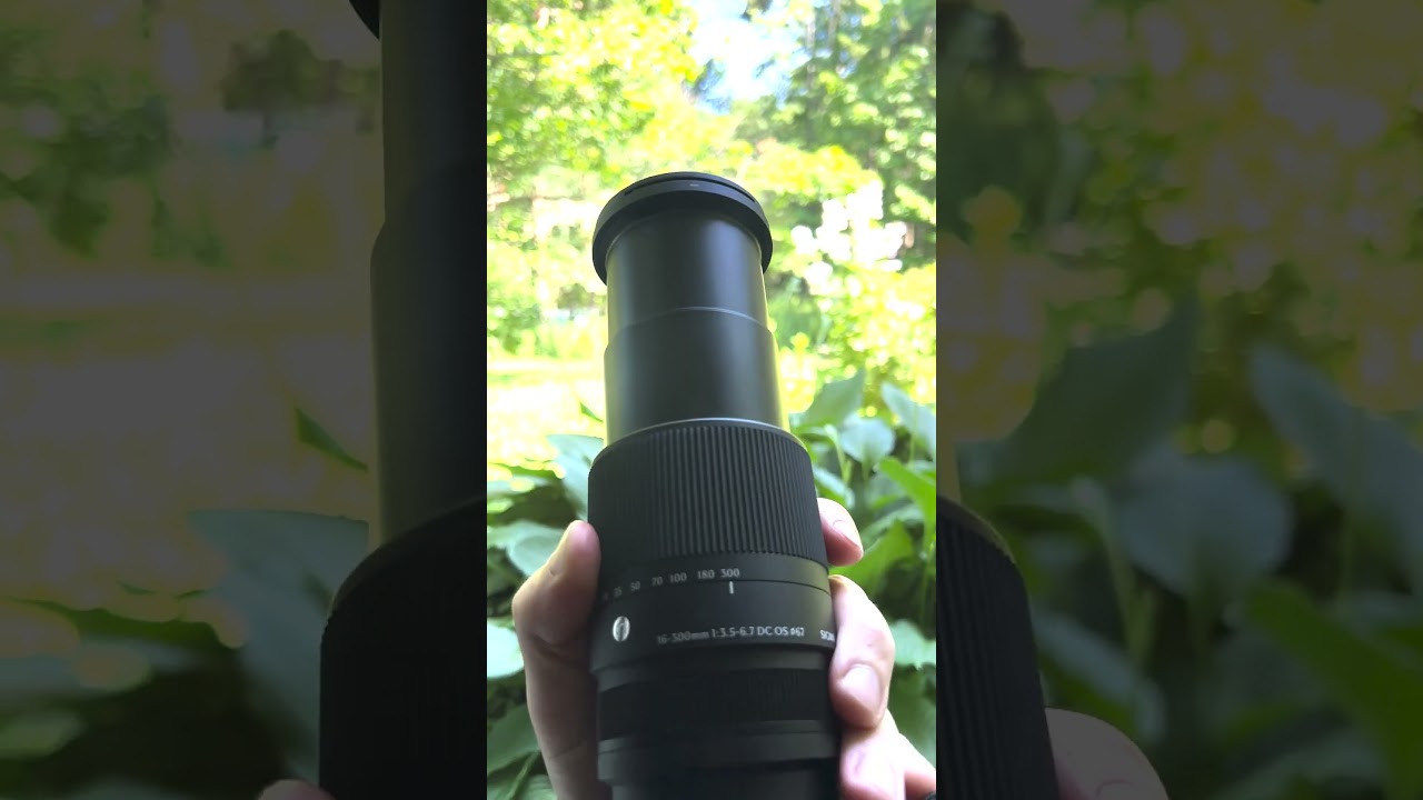 Can the Sigma 16-300mm Catch This Woodpecker?