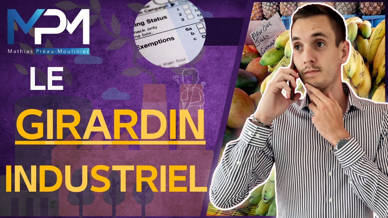 Qu’est-ce que le Girardin Industriel ? Surement le MEILLEUR outil de DEFISCALISATION !