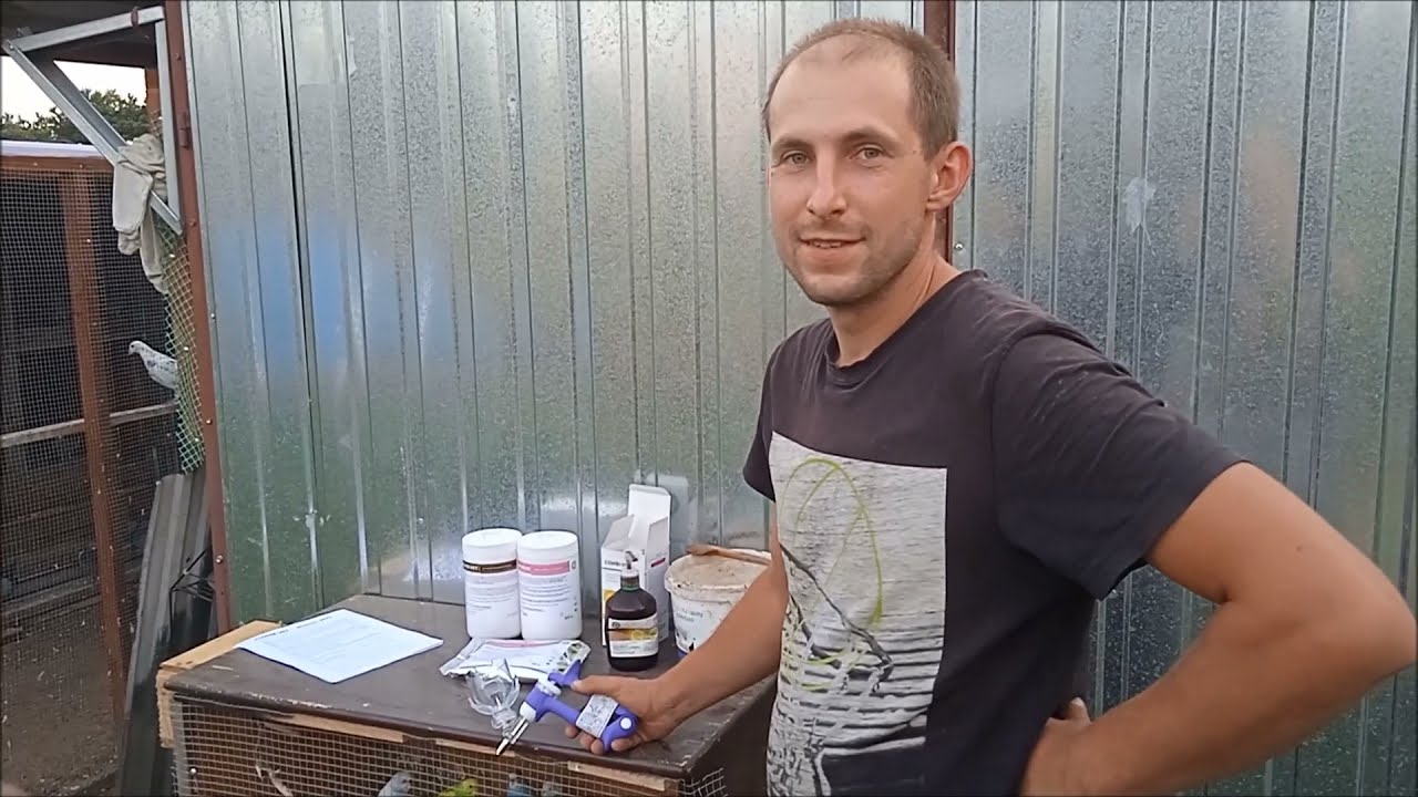 CZG - kiedy podawać POWER-VET, a kiedy ENERGOPROBIO-VET?