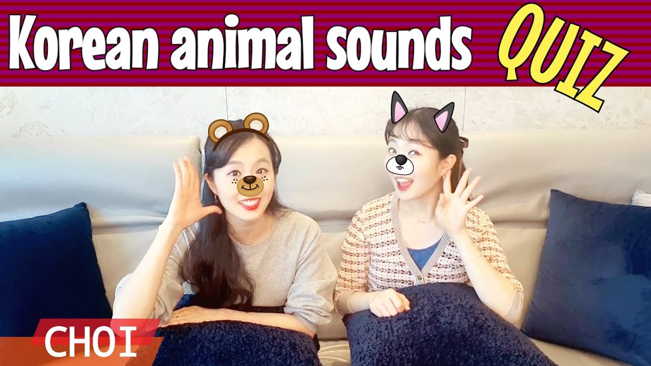Korean animals cry different! ANIMAL SOUNDS QUIZ || Learn animal names & sounds in Korean & English