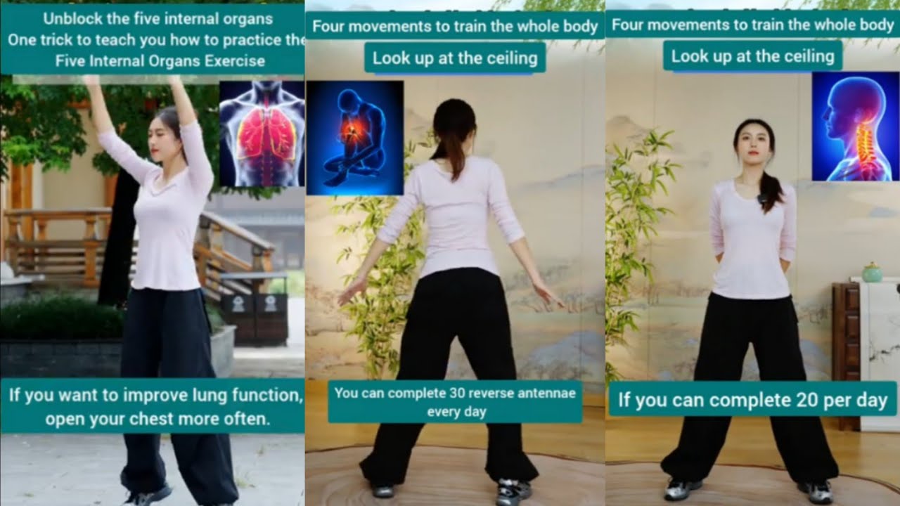 26 minutes a day || full body exercise #qigong #shijing #kungfu #shaolin #martialarts 