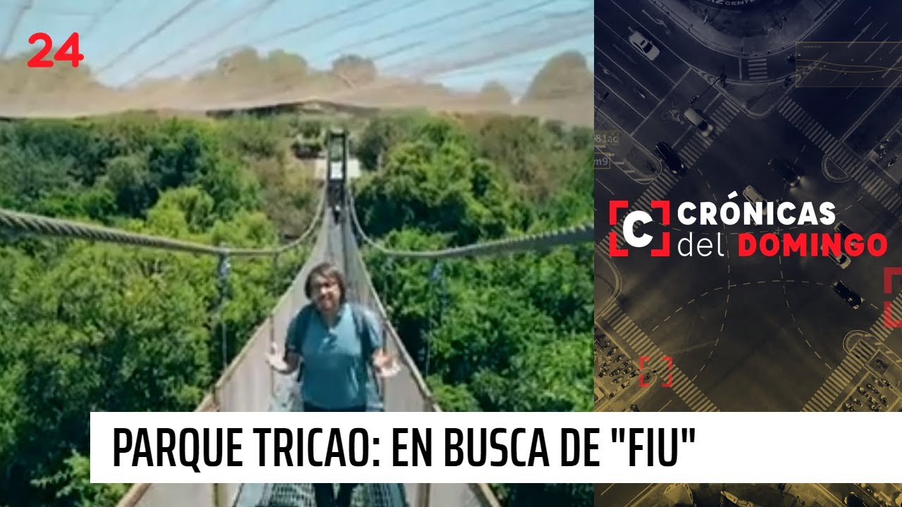 Crónicas  del Domingo | Parque Tricao: en busca de 