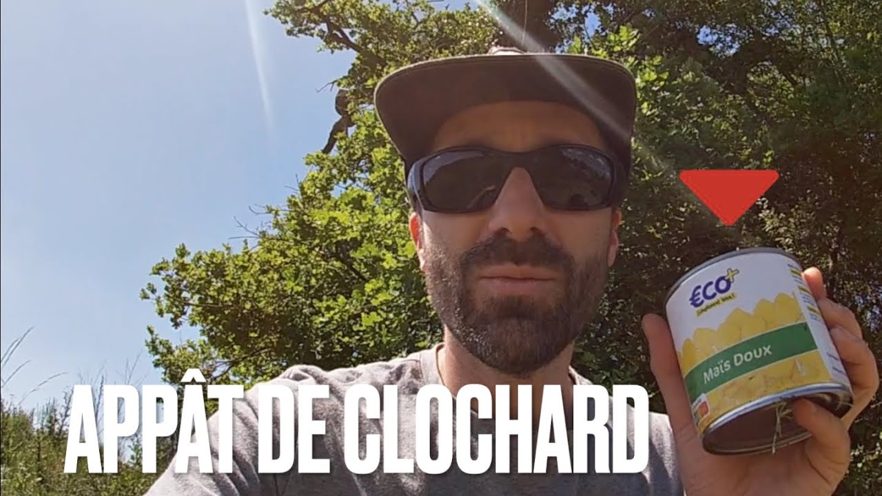 Débuter la carpe en STALKING - SI PRÈS DU BUT... #vlog