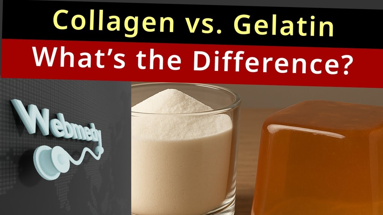 Collagen vs. Gelatin: Which One Should You Take?