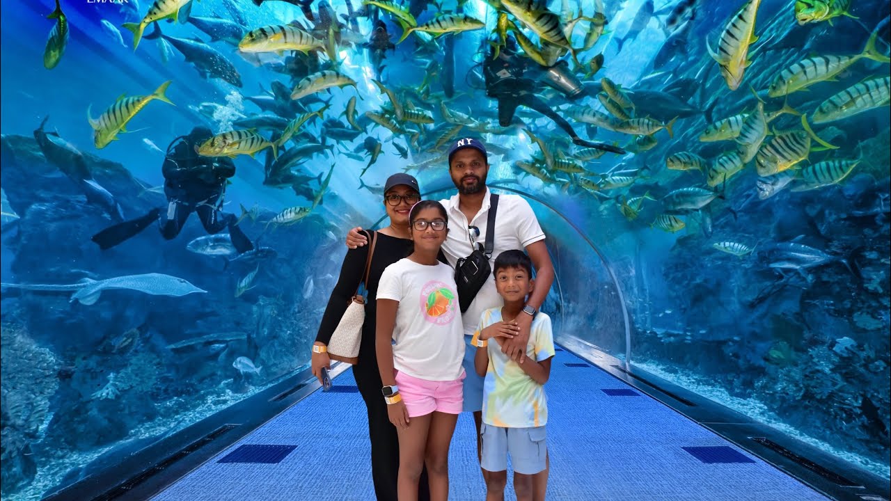 Last Day in Dubai - Aquarium and the Dubai Frame