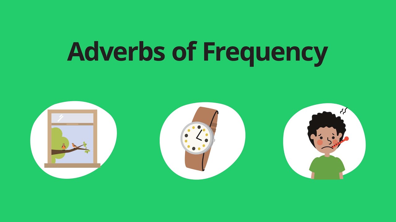 Adverbs of Frequency – English Grammar Lessons