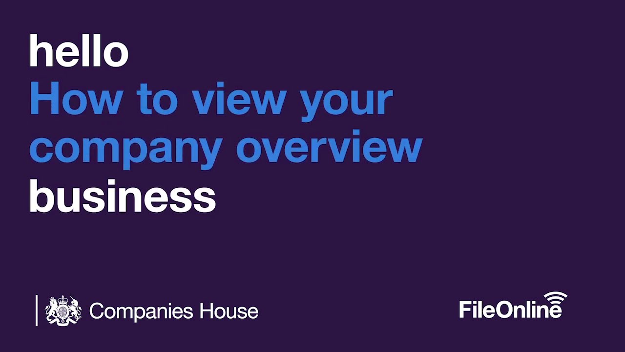 How to view your company overview