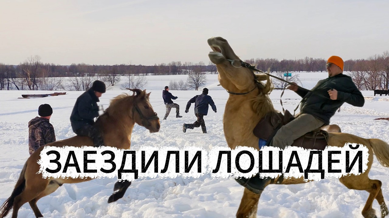 ПЕРЕСЧИТАЛИ ЛОШАДЕЙ | СЪЕЗДИЛ НА ДАЧУ НА КВАДРИКЕ | ВСТРЕЧАЕМ ВЕСНУ