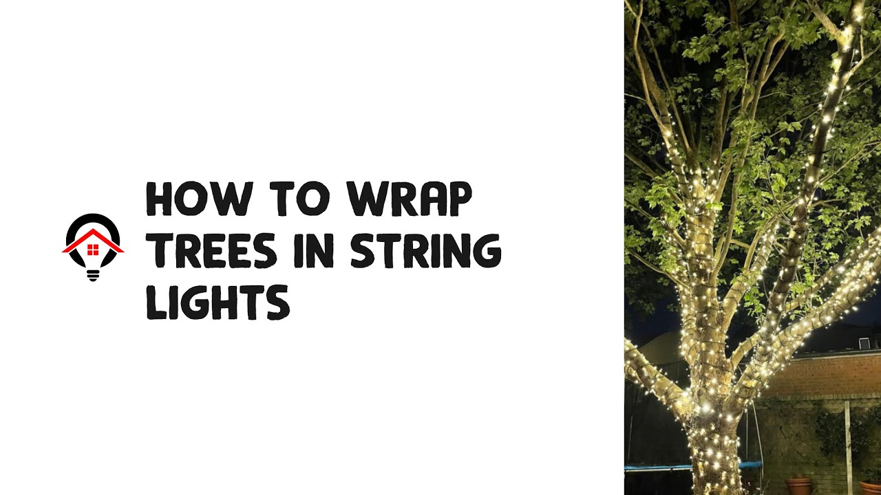 How to Wrap Trees in String Lights