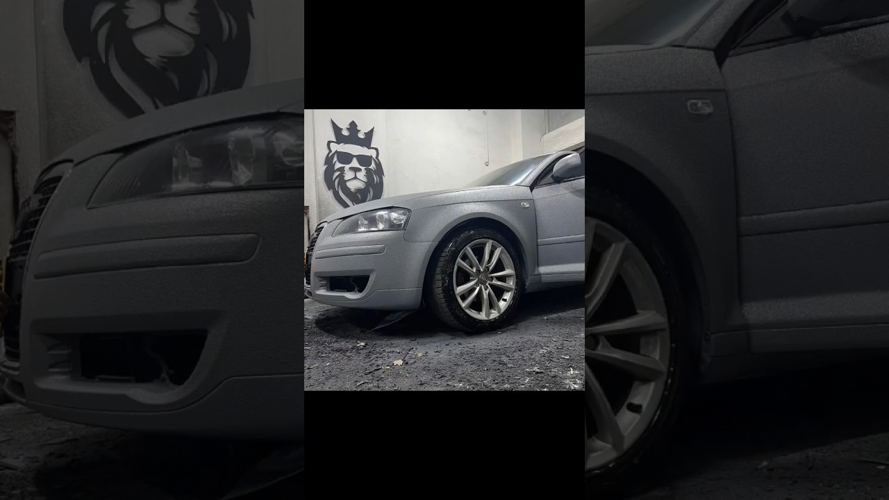 zırh kaplama boya LİON KİNG GARAGE farkı ile İstanbul Pendik G&uuml;zelyalı 05349392995