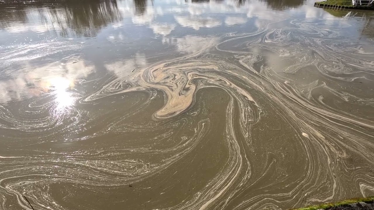 La Meuse boueuse le 3 février 2026