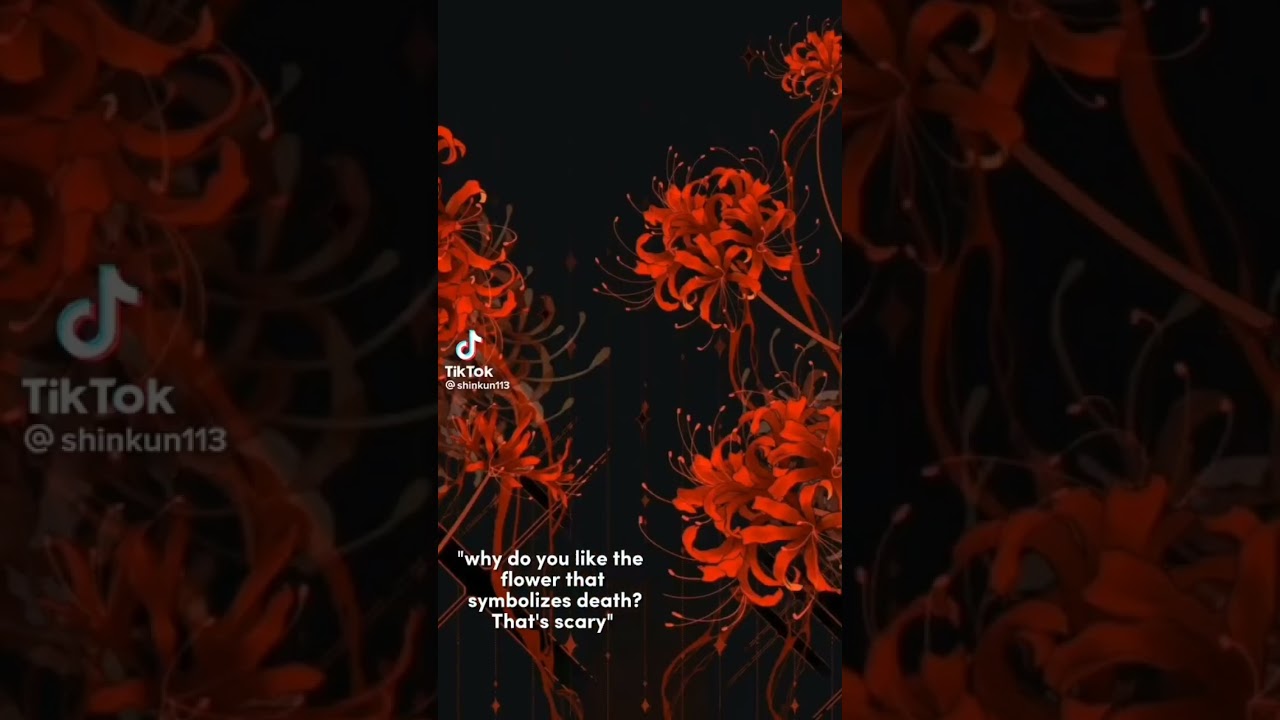 #youtubeshorts #fyp #flowers #spiderlily
