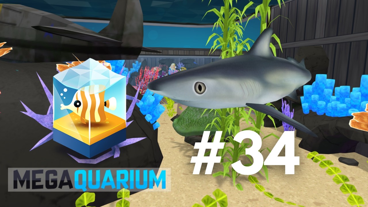 OUR BIGGEST SHARKS YET - Megaquarium (#34)