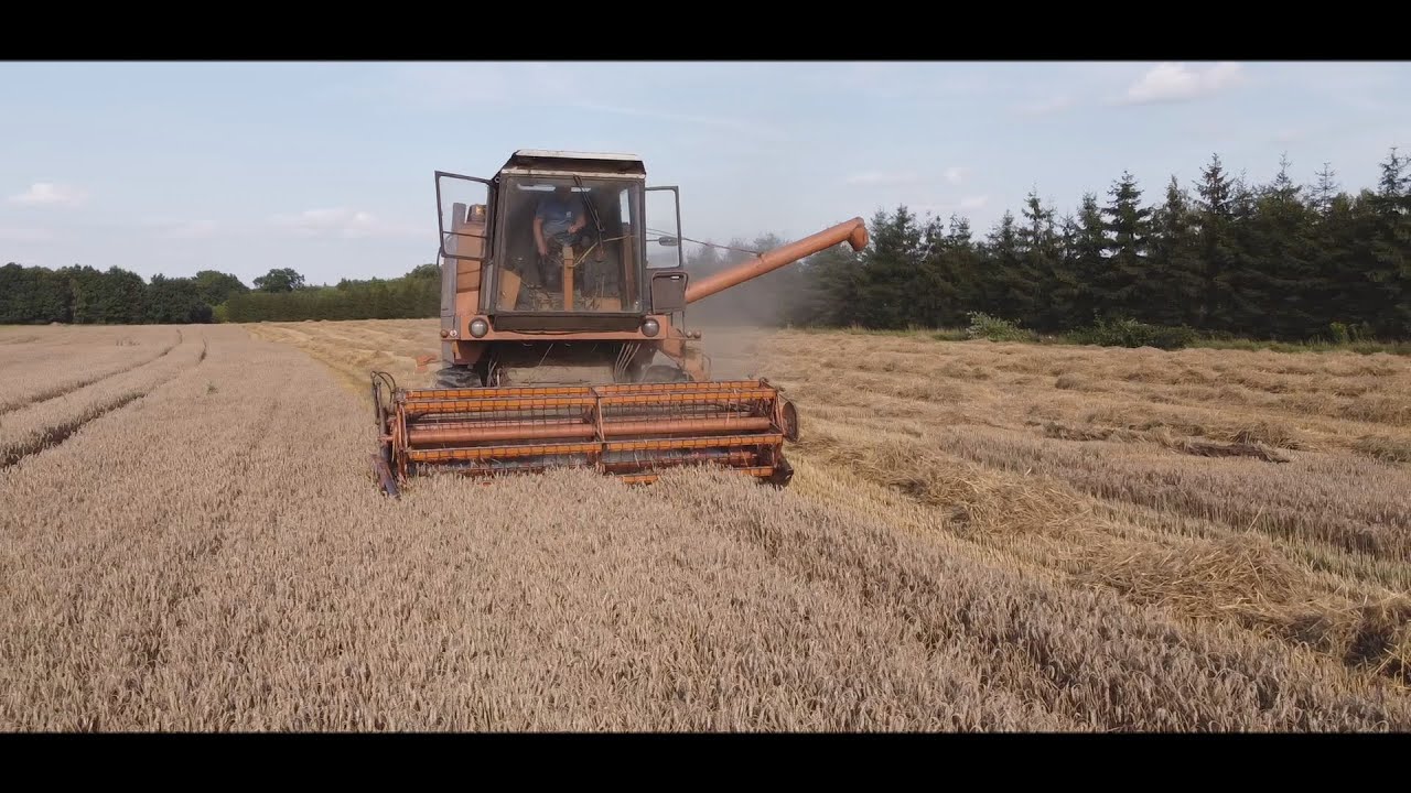 Żniwa 2021MAŁOPOLSKA II Bizon Z056 II Fendt 818