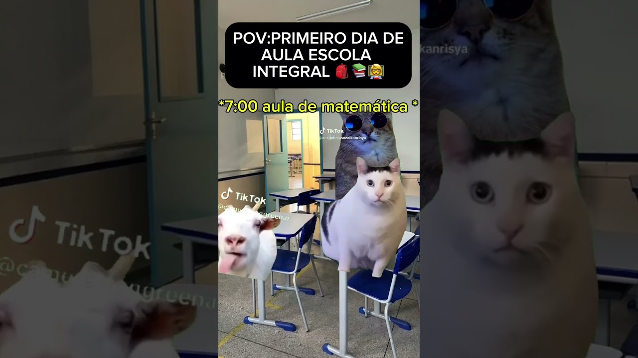 Pov:primeiro dia de aula escola integral 🎒📚👩&zwj;🏫