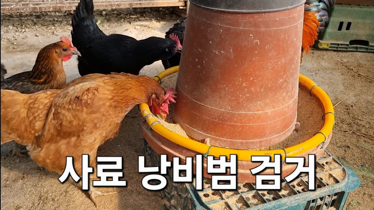 사료낭비범 검거
