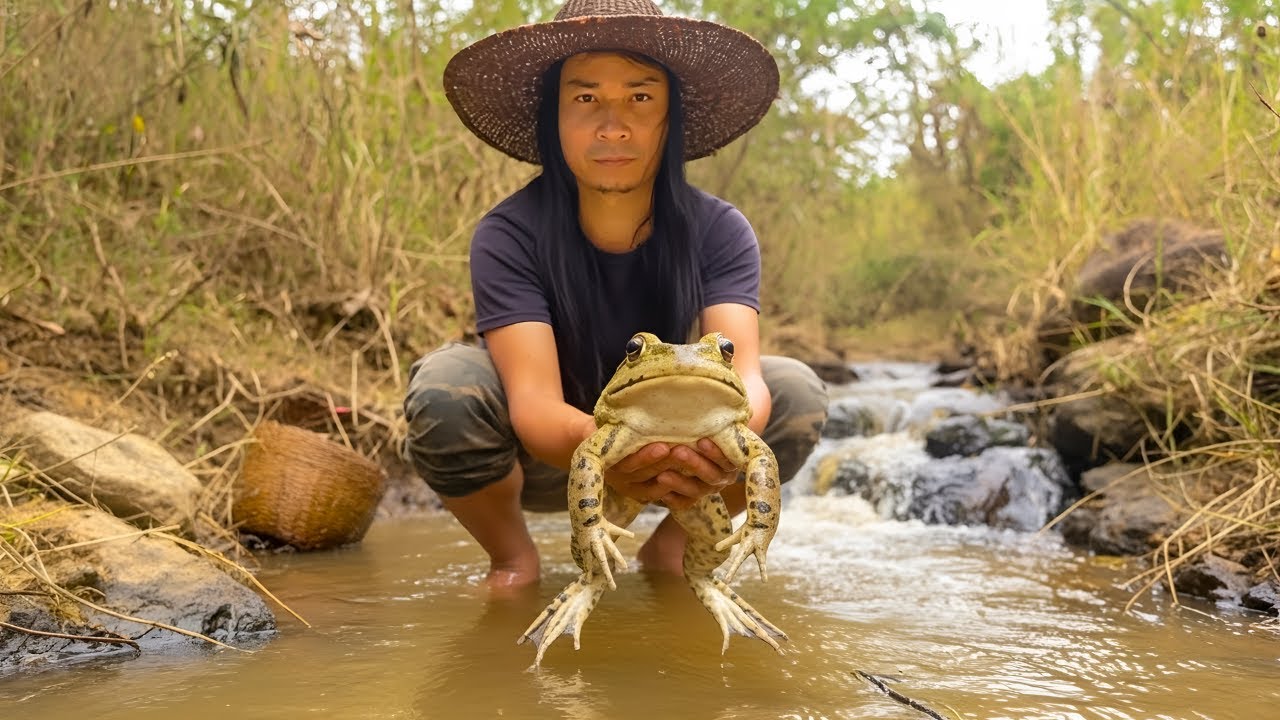 Days of survival on the river, fishing, catching frogs, searching for wild food - Survival alone
