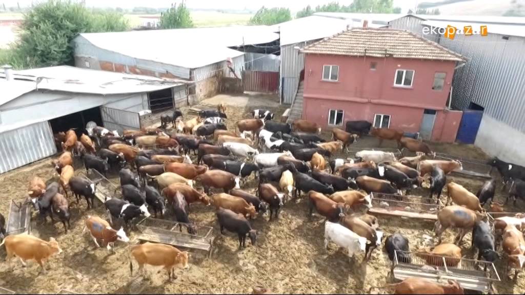 Aydoğan Kardeşler Et Entegre Tesisleri Ekopazar 4 Ekim 2015