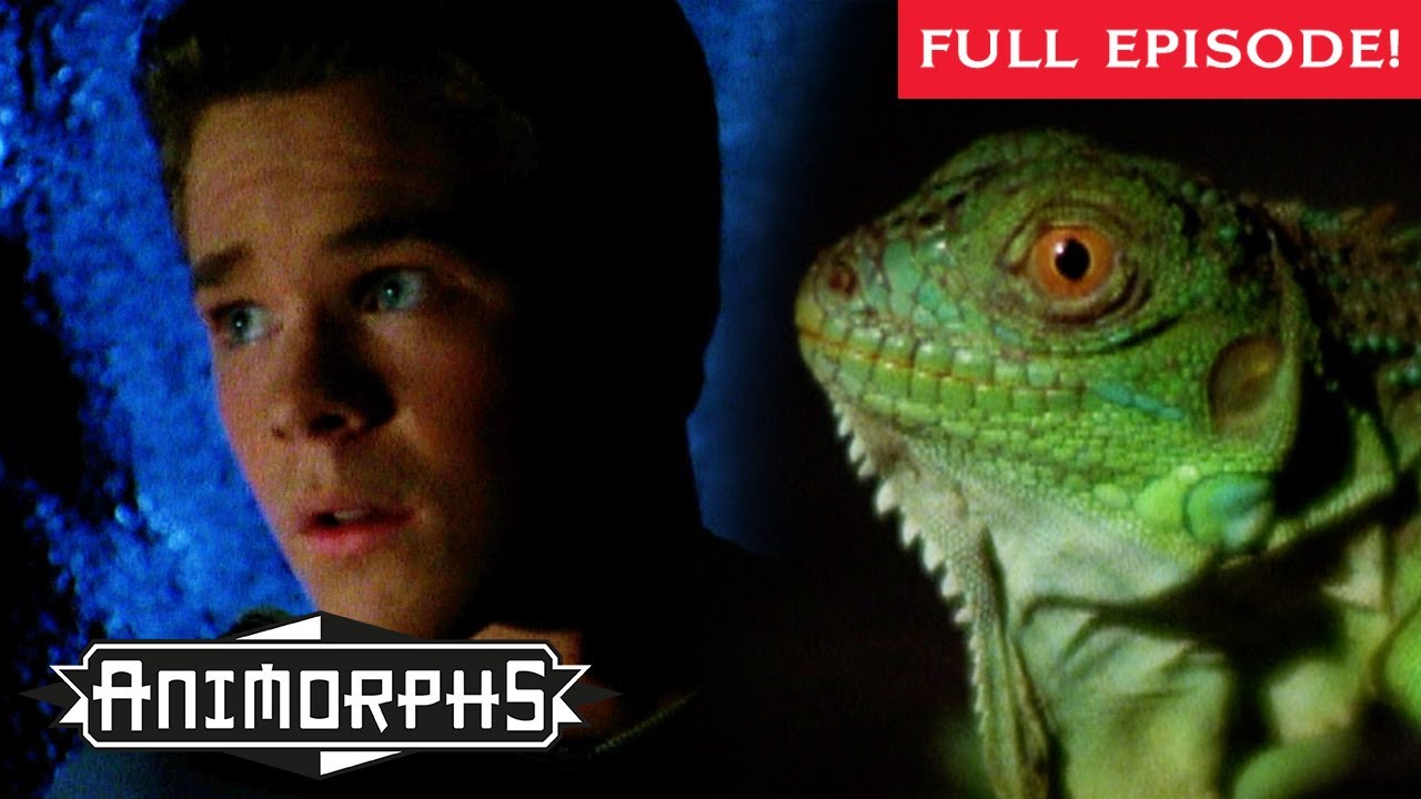 Face Off Part 2 | Animorphs | Scholastic Classic