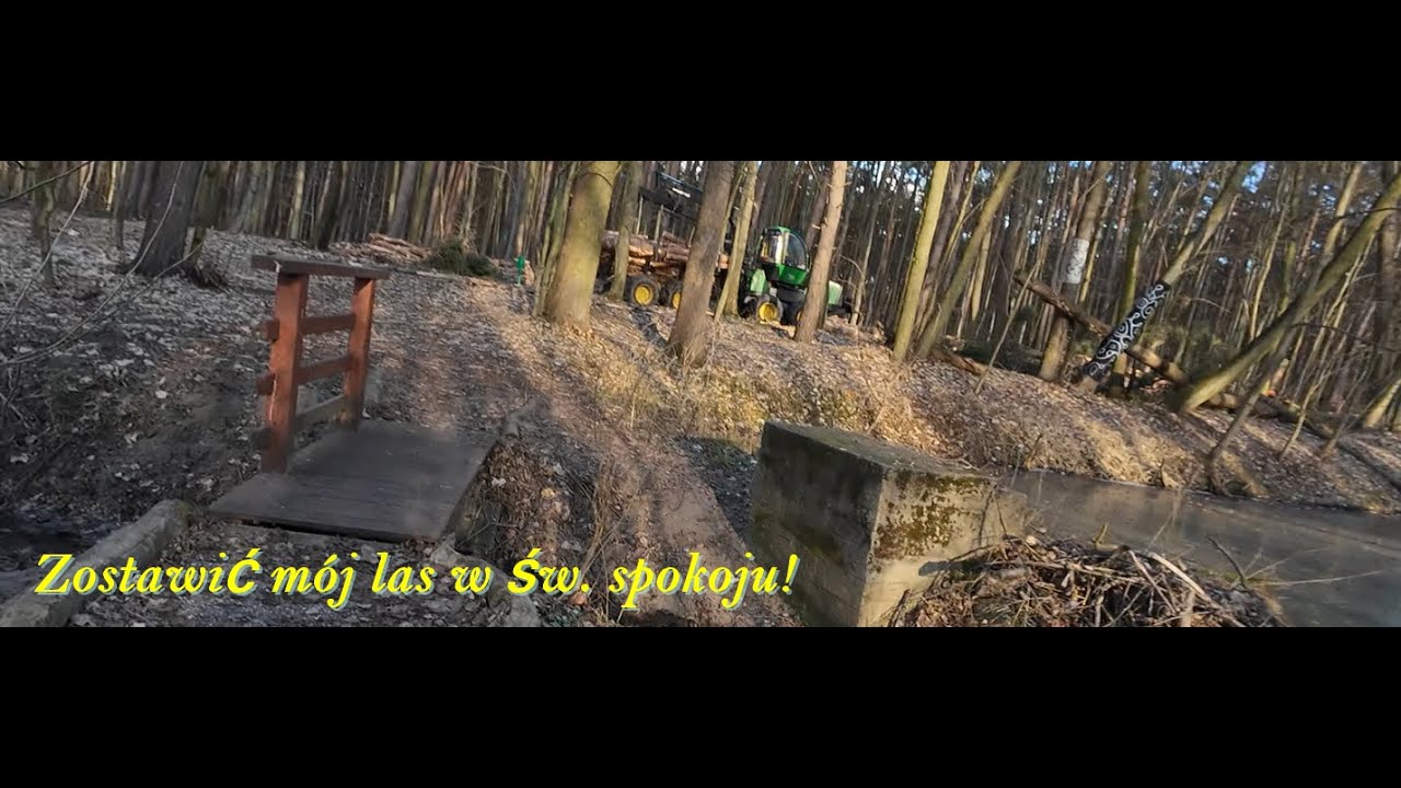 30.12.2025. Nie wycinać lasów ! MTB