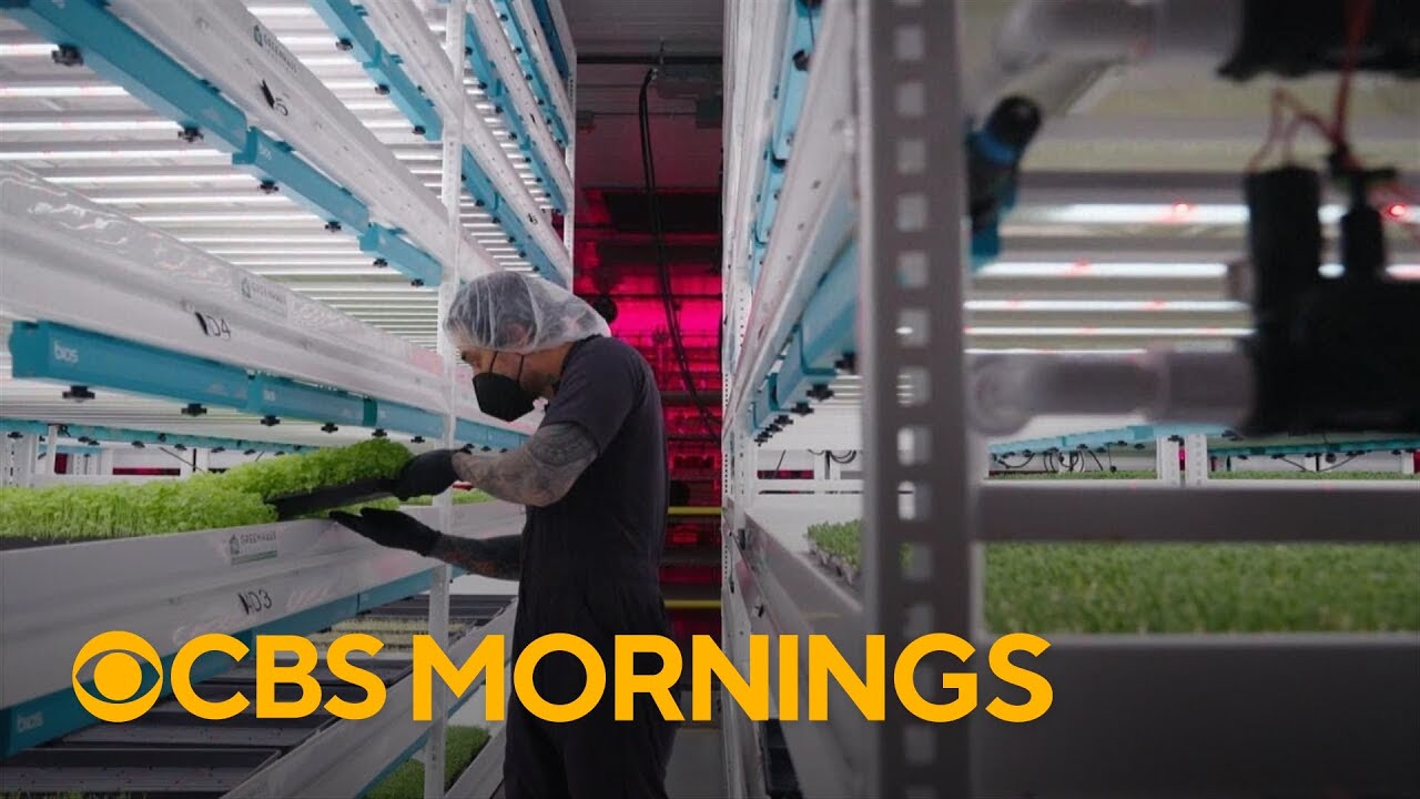 2 first-generation entrepreneurs are redefining farm-to-table dining